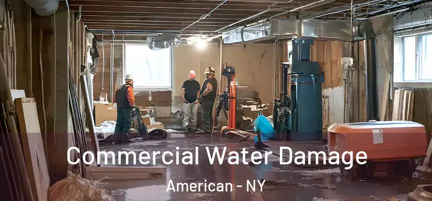  Commercial Water Damage American - NY