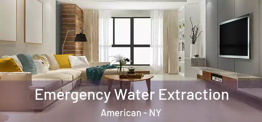 Emergency Water Extraction American - NY