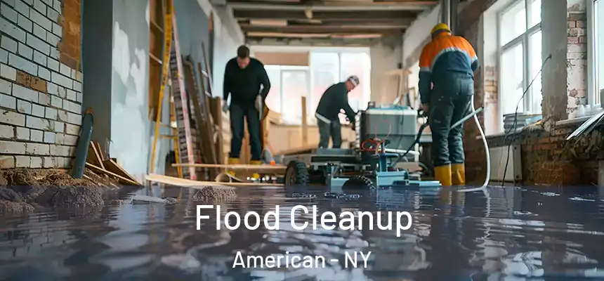  Flood Cleanup American - NY