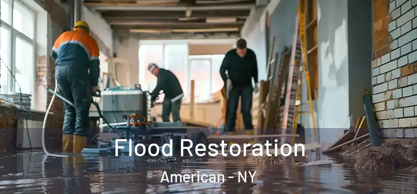Flood Restoration American - NY