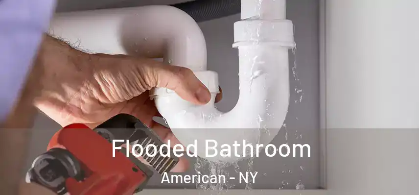 Flooded Bathroom American - NY