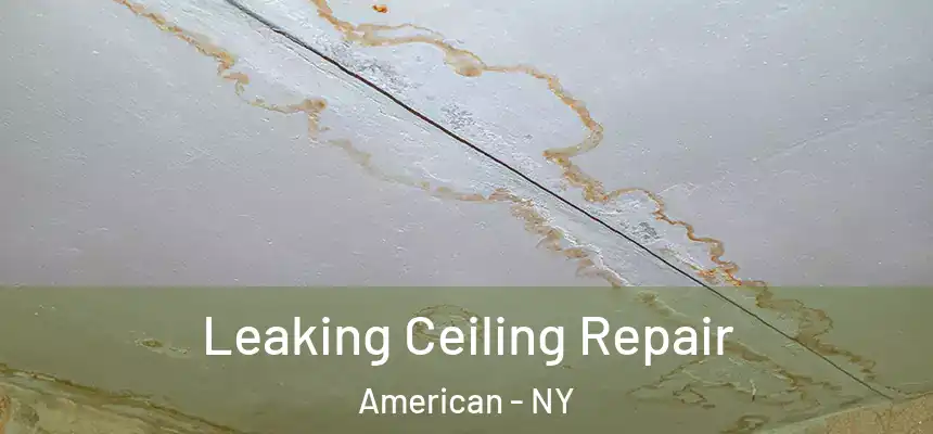Leaking Ceiling Repair American - NY