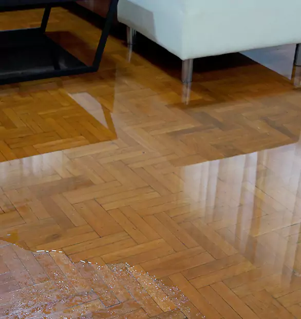 Trusted Emergency Water Restoration Company in American, NY