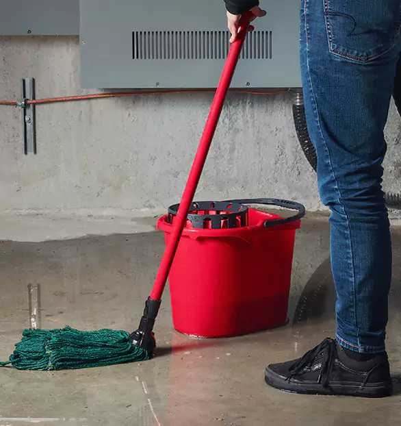 Trusted Sewage Cleanup Company in American, NY