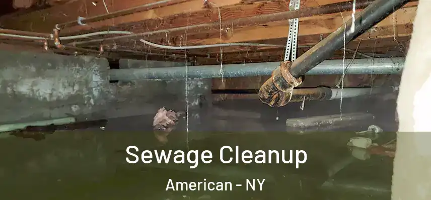 Sewage Cleanup American - NY