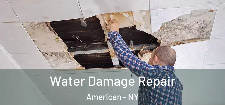 Water Damage Repair American - NY