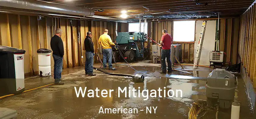 Water Mitigation American - NY