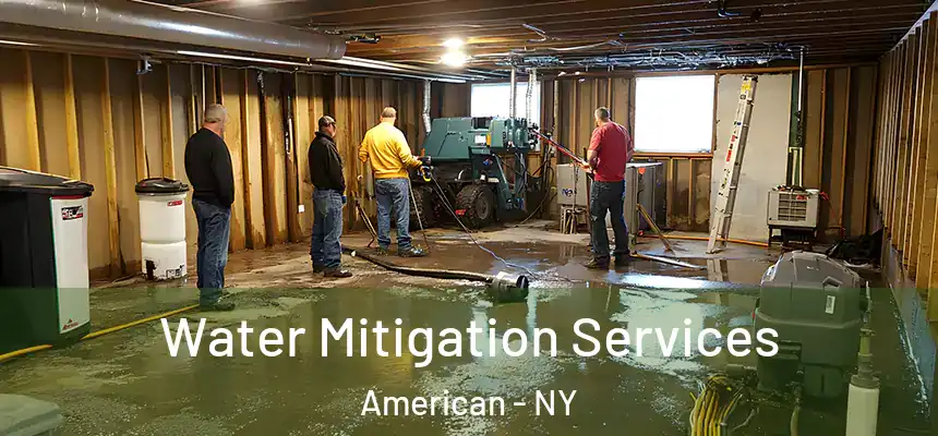 Water Mitigation Services American - NY
