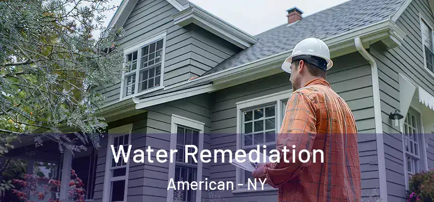  Water Remediation American - NY