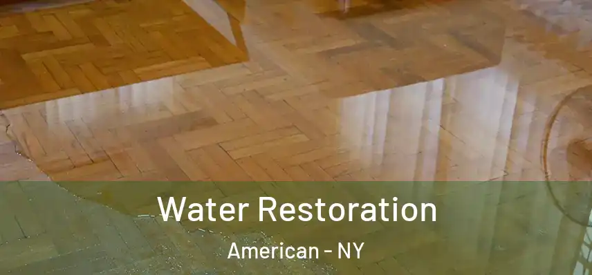  Water Restoration American - NY